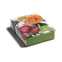 Outlet The Met Store Botanical Illustrations Notecards