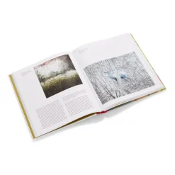 Online The Met Store Gerhard Richter: Painting After All