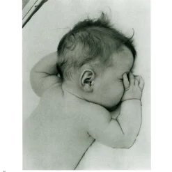 Sale The Met Store Lullabies Songbook and CD