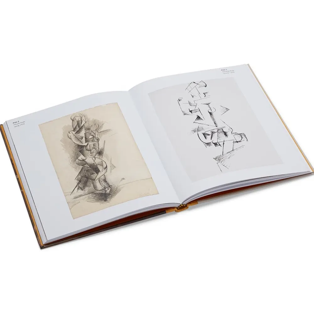 Clearance The Met Store Picasso: A Cubist Commission in Brooklyn