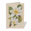 Online The Met Store Studies of Magnolias Quilled Card
