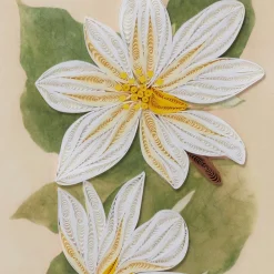 Online The Met Store Studies of Magnolias Quilled Card