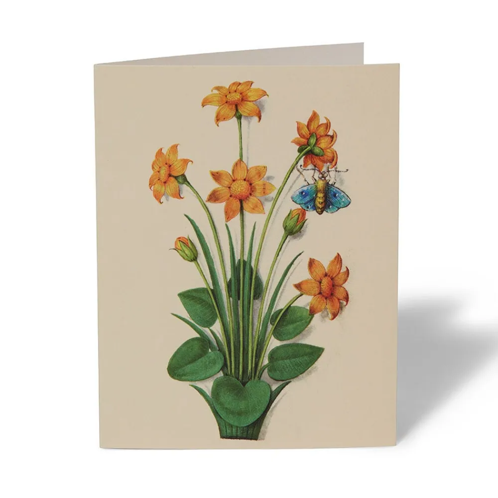 Outlet The Met Store The Met Cloisters Garden Notecards