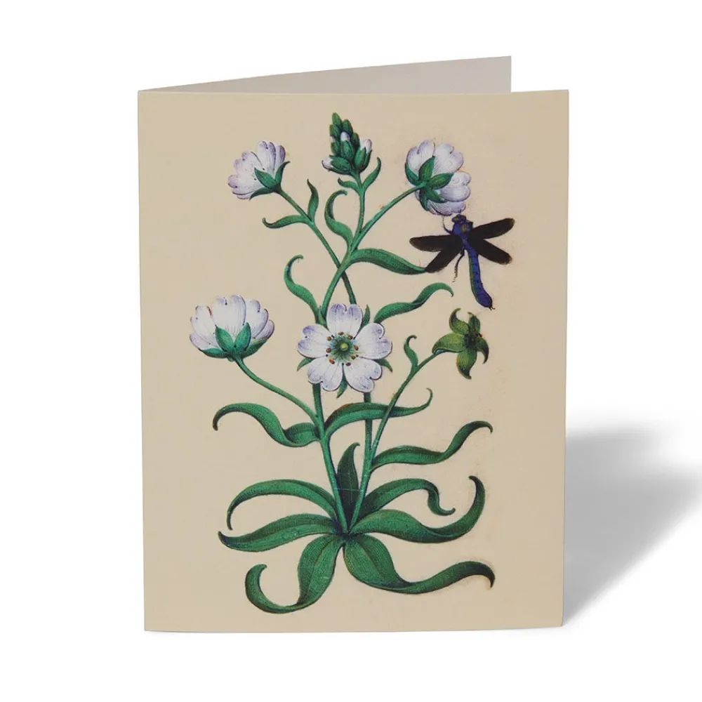 Outlet The Met Store The Met Cloisters Garden Notecards