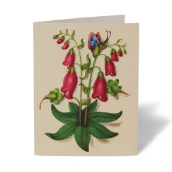 Outlet The Met Store The Met Cloisters Garden Notecards
