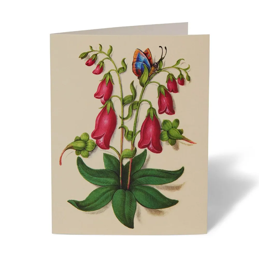 Outlet The Met Store The Met Cloisters Garden Notecards