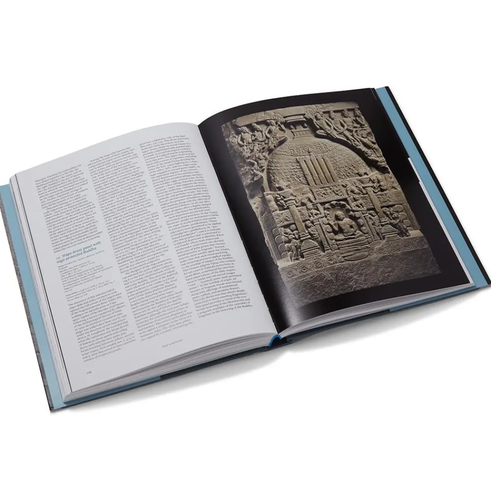 Online The Met Store Tree & Serpent: Early Buddhist Art in India